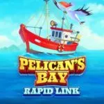 Pelican's Bay Rapid Link